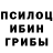 Галлюциногенные грибы Cubensis P. Kaboo