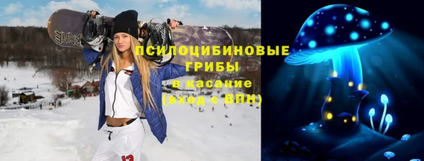 MDMA Богородицк