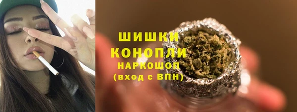 шишки Богданович