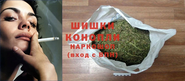 стафф Бородино