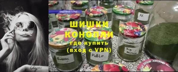 стафф Бородино