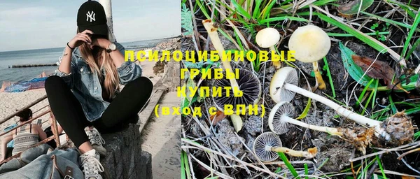 ALPHA-PVP Бугульма